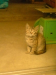 20081025135132.jpg